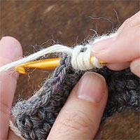 中長編み2目一度[4] また糸をかけて、前段の左となりの目に針を入れ、